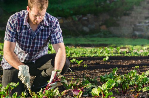 Eco-friendly gardening practices by Gardening Camberwell