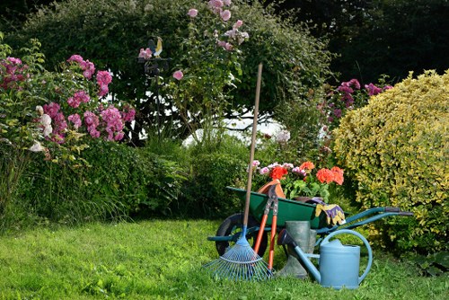 Gardening team assessing a Camberwell terrace garden before work